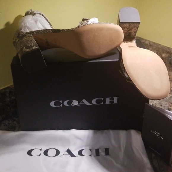 Shoes - Picture 2 of 4